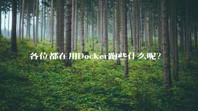 各位都在用Docker跑些什么呢？