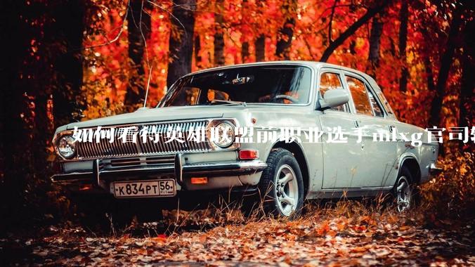 如何看待英雄联盟前职业选手mlxg官司输了，被强制执行2500w？