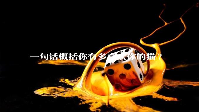 一句话概括你有多喜欢你的猫?