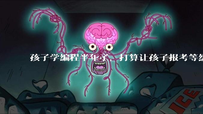 孩子学编程半年了，打算让孩子报考等级考试，大家觉得等级考试证书有用吗？