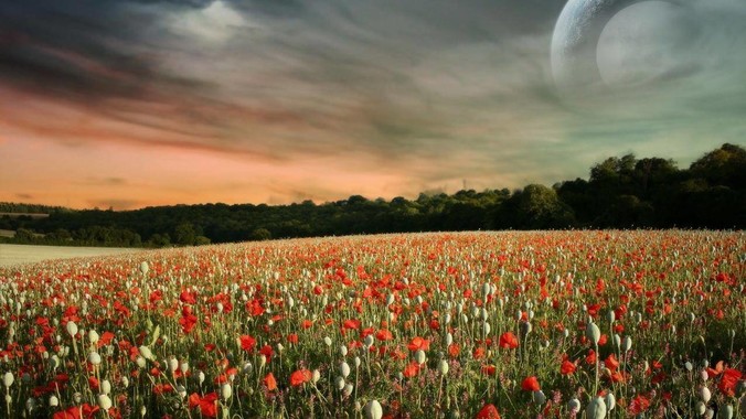 为什么很多香港明星没有子女?